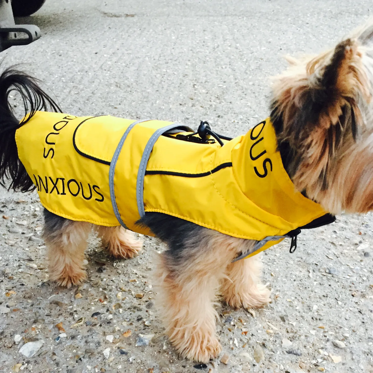 ANXIOUS DOG YELLOW LIGHTWEIGHT RAINCOAT (Extra Small - 10")