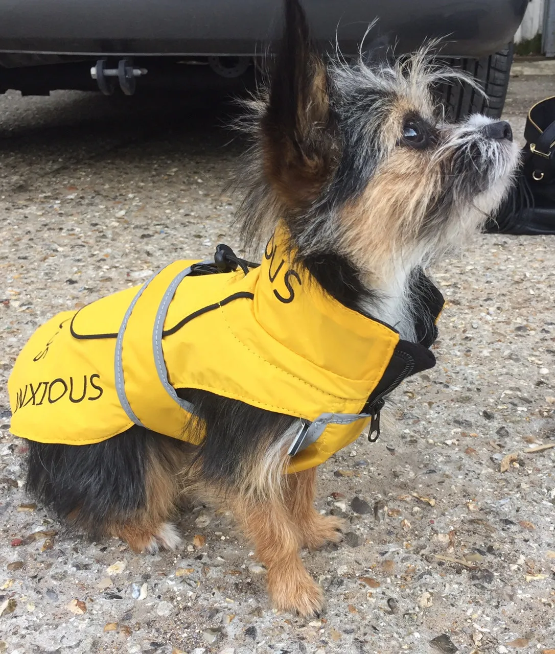 ANXIOUS DOG YELLOW LIGHTWEIGHT RAINCOAT (Extra Small - 10")