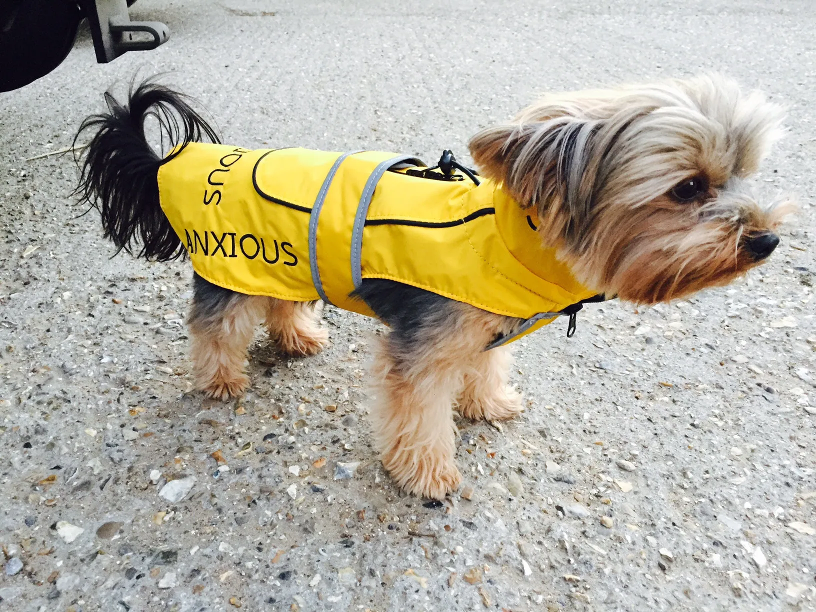 ANXIOUS DOG YELLOW LIGHTWEIGHT RAINCOAT (Extra Small - 10")