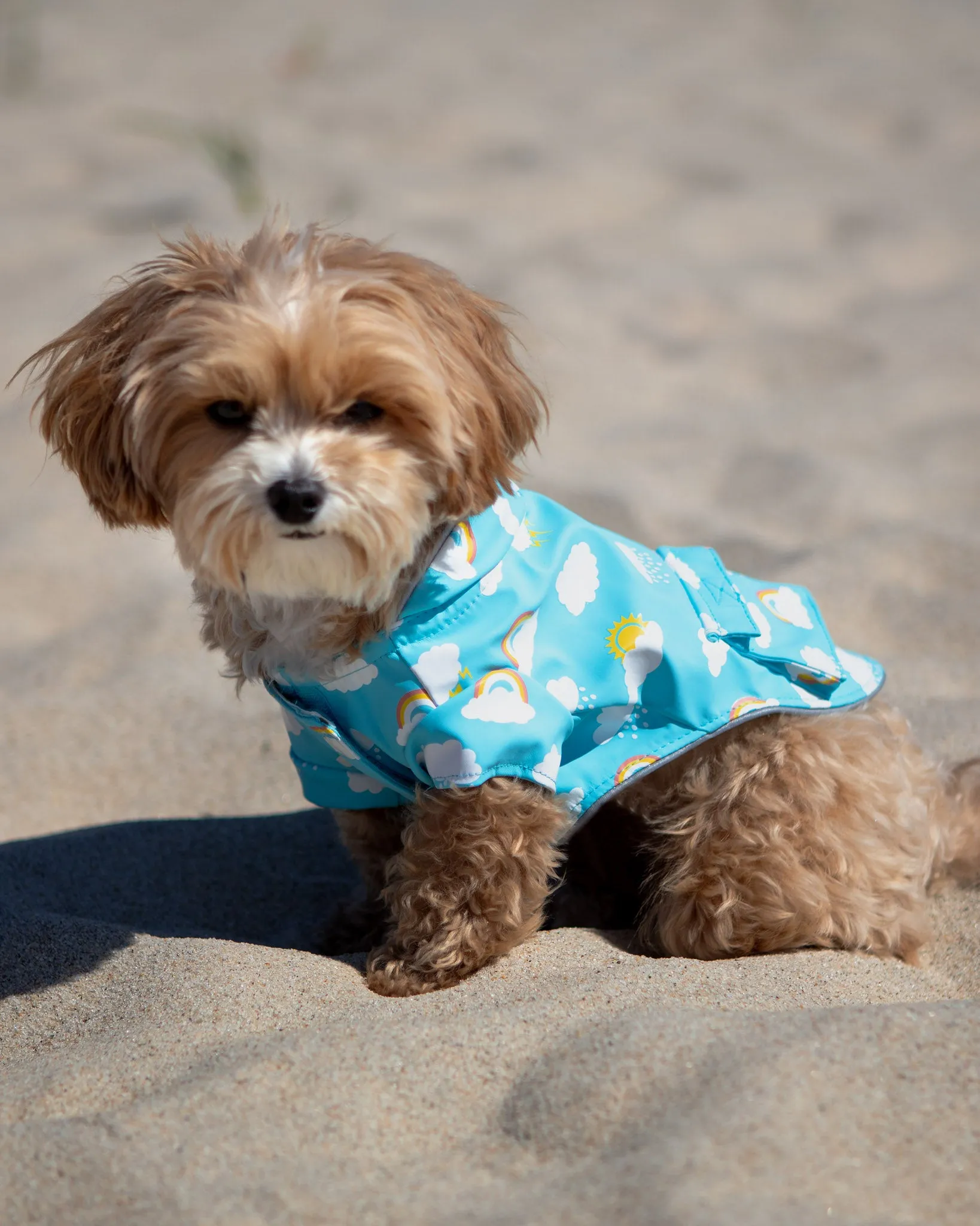 Clouds and Rainbow Torrential Tracker Raincoat (FINAL SALE)