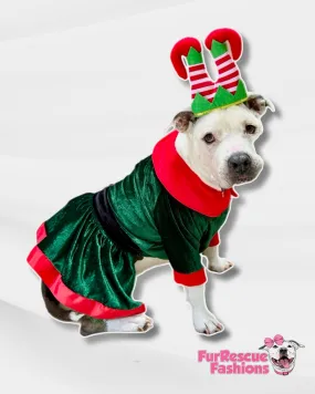 Green Velvety Elven Holidays Dog Dress