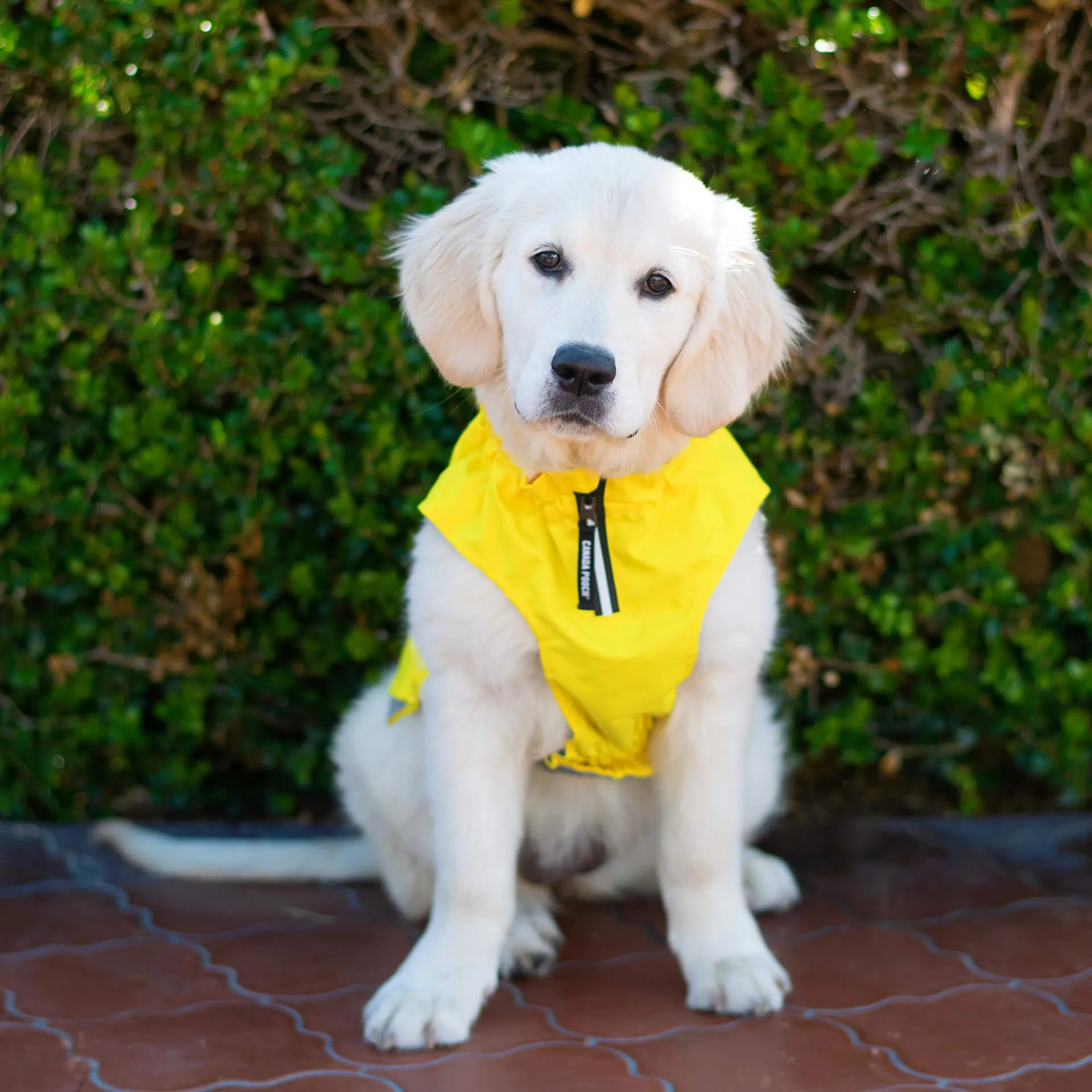 Grow-With-Me Raincoat