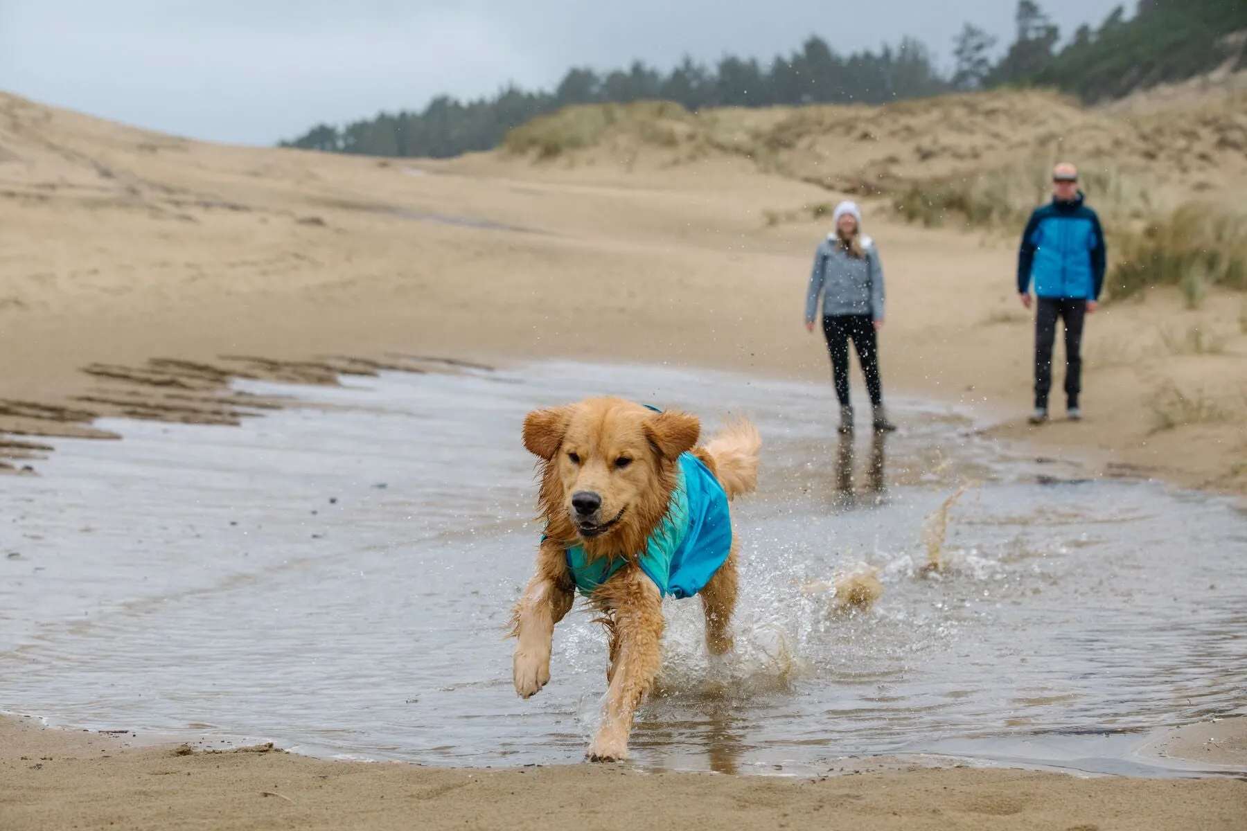 Ruffwear Dog Raincoat: Sun Shower