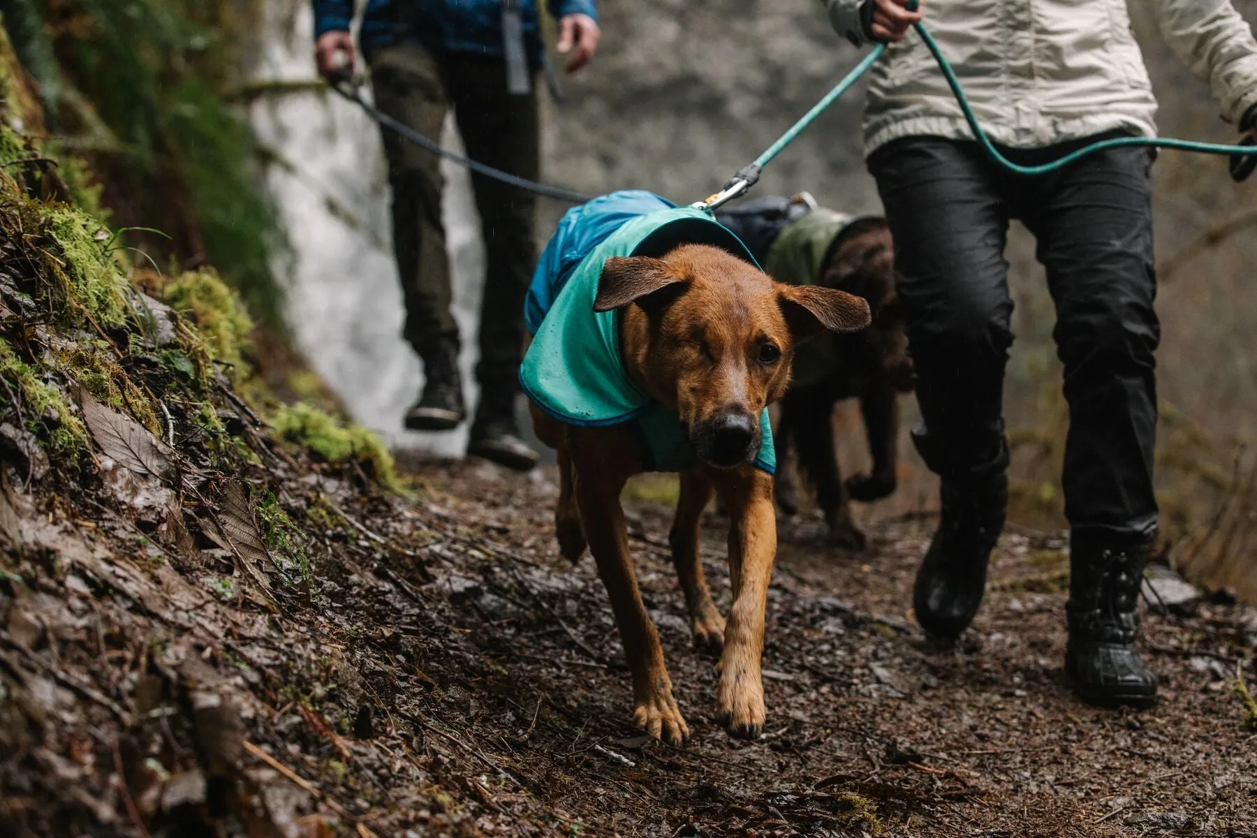 Ruffwear Dog Raincoat: Sun Shower