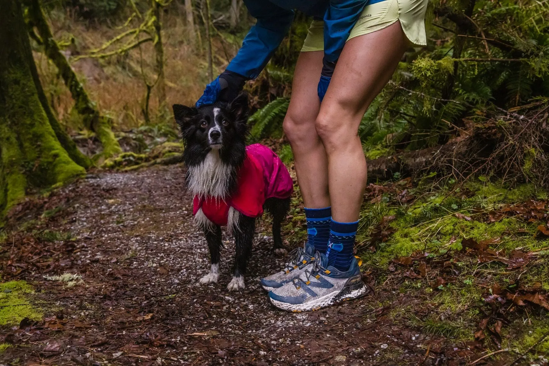 Ruffwear Dog Raincoat: Sun Shower