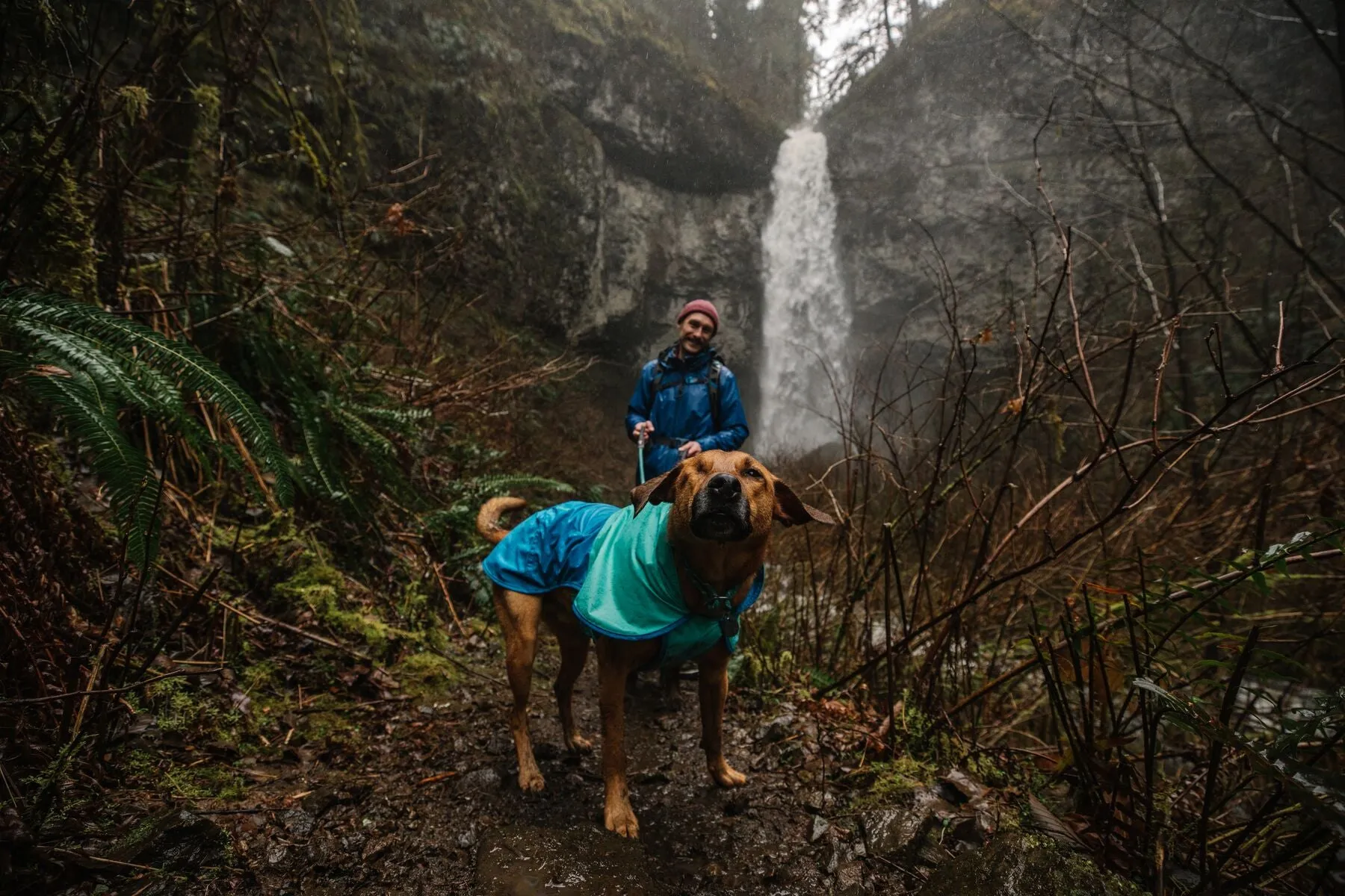 Ruffwear Dog Raincoat: Sun Shower