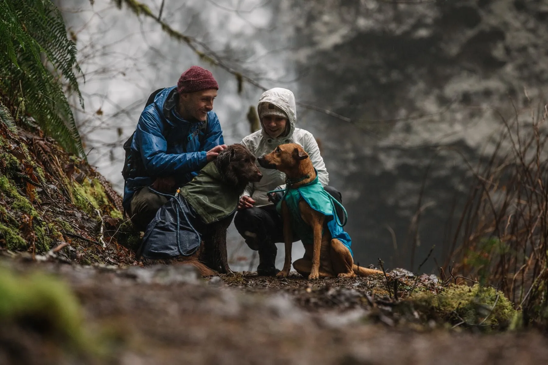 Ruffwear Dog Raincoat: Sun Shower