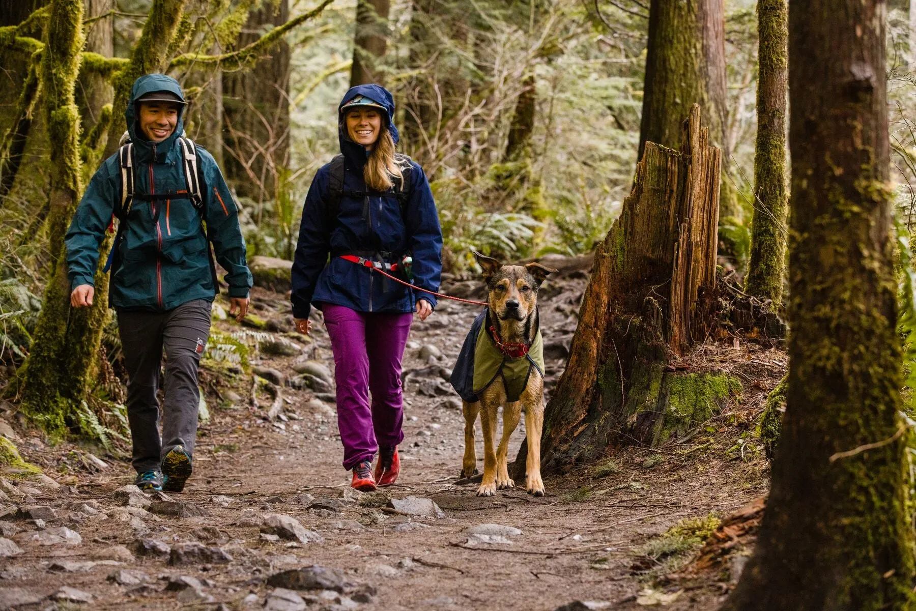 Ruffwear Dog Raincoat: Sun Shower