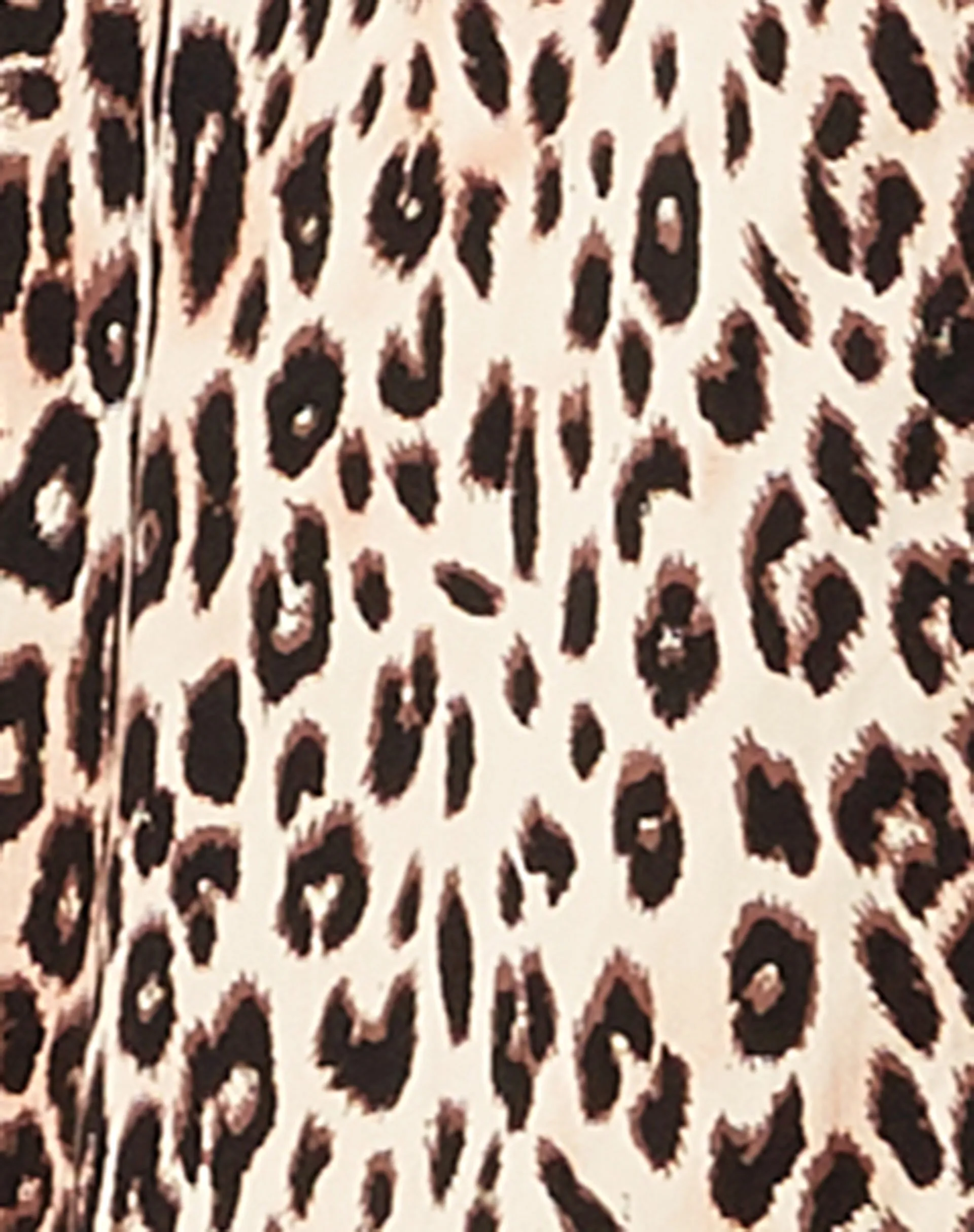 Smith Short Sleeve Shirt in True Leopard